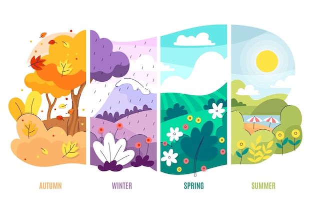 Seasonal Hair Care: Adapting Your Routine to the Changing Seasons